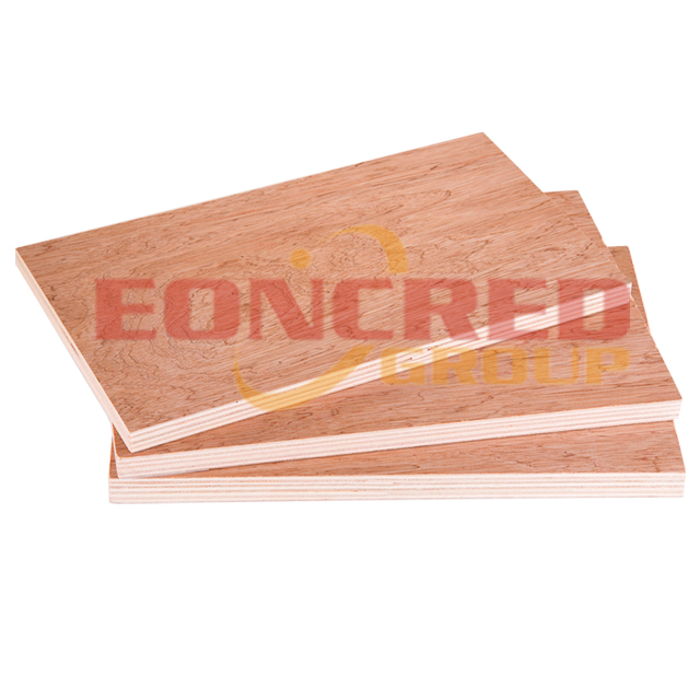 12mm 1220x2440mm Bintangor Faced Poplar Commercial Plywood with holes