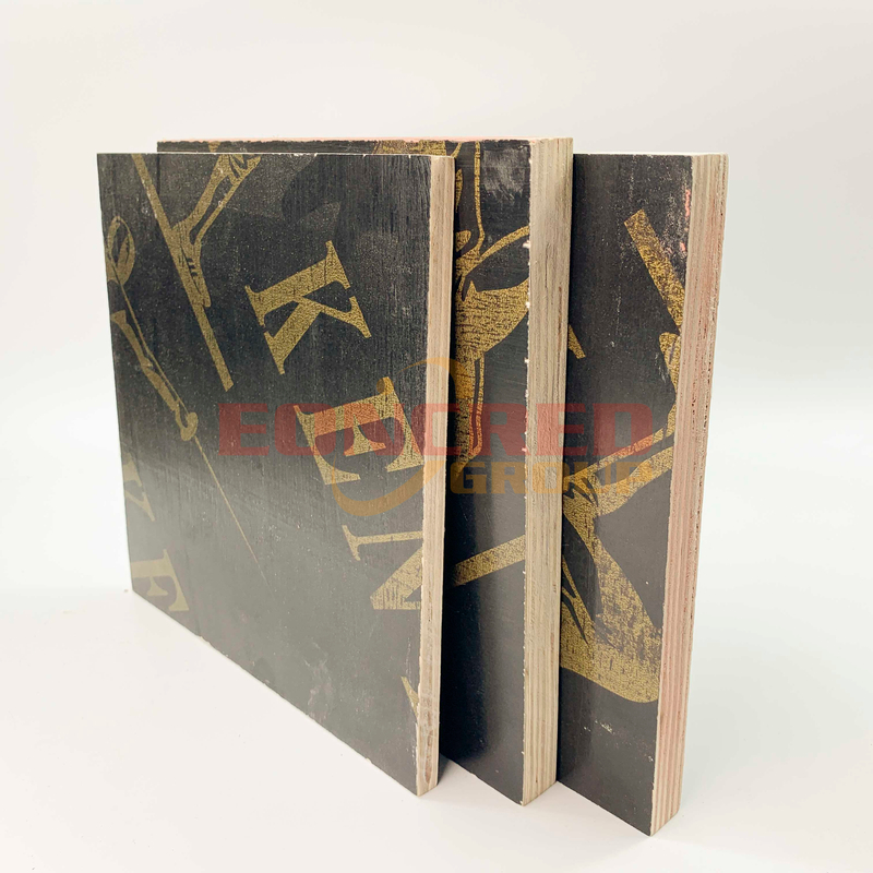 Black Film Faced Plywood Making Machine Made Film Faced Plywood