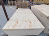 CDX PINE PLYWOOD