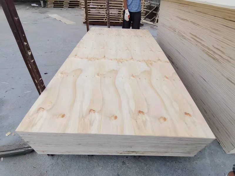 CDX PINE PLYWOOD