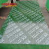 Factory Direct Sales18mm PP TECH GREEN Plywood From China
